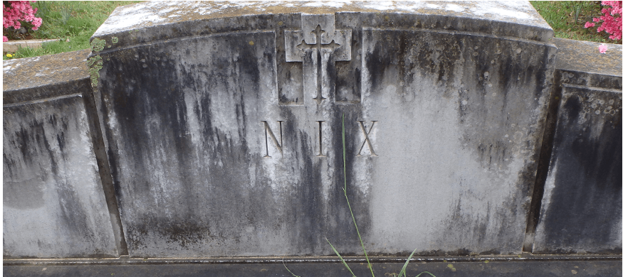 How to Clean a Headstone with justhighstone